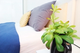 Serviced Apartment For Rent In Binh Thanh District